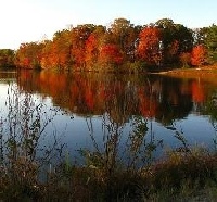 Alcyon Lake