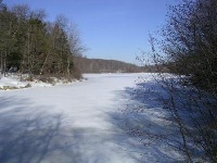 Bear Swamp Lake