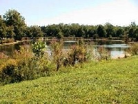 Wood Dale Park Pond