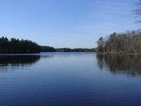 Wells Mill Lake